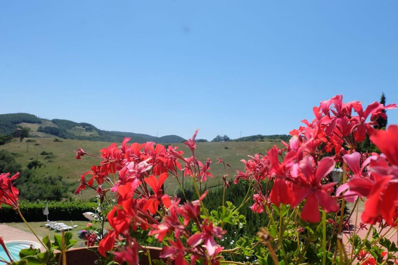 Country House La Collina Di Bargiano - Casa Raffaella アッレローナ エクステリア 写真