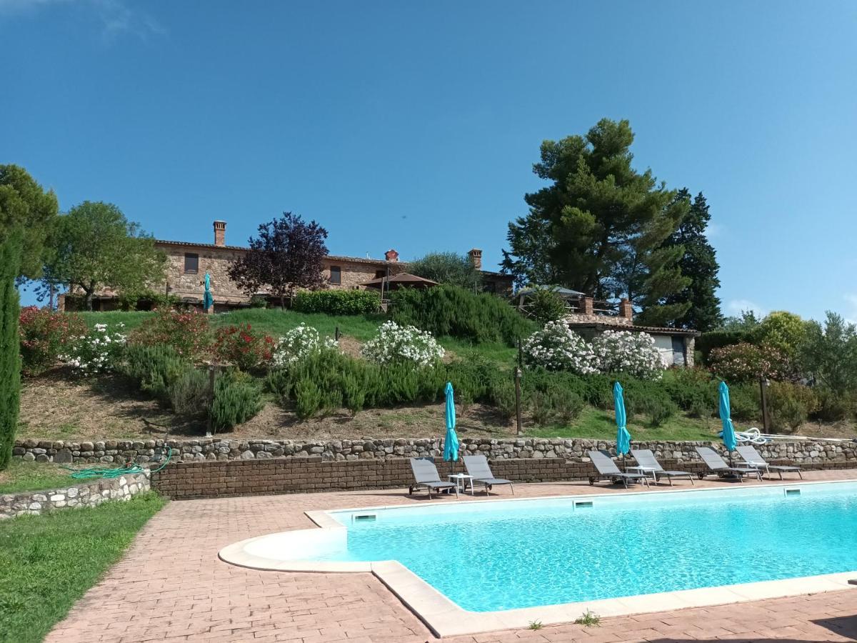 Country House La Collina Di Bargiano - Casa Raffaella アッレローナ エクステリア 写真