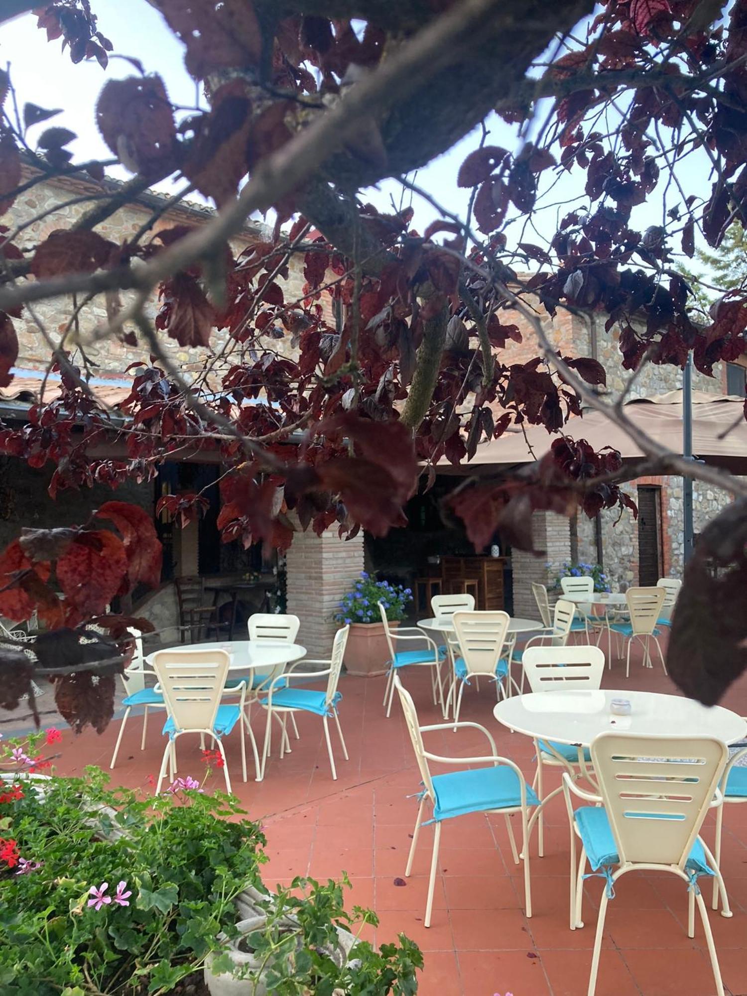 Country House La Collina Di Bargiano - Casa Raffaella アッレローナ エクステリア 写真