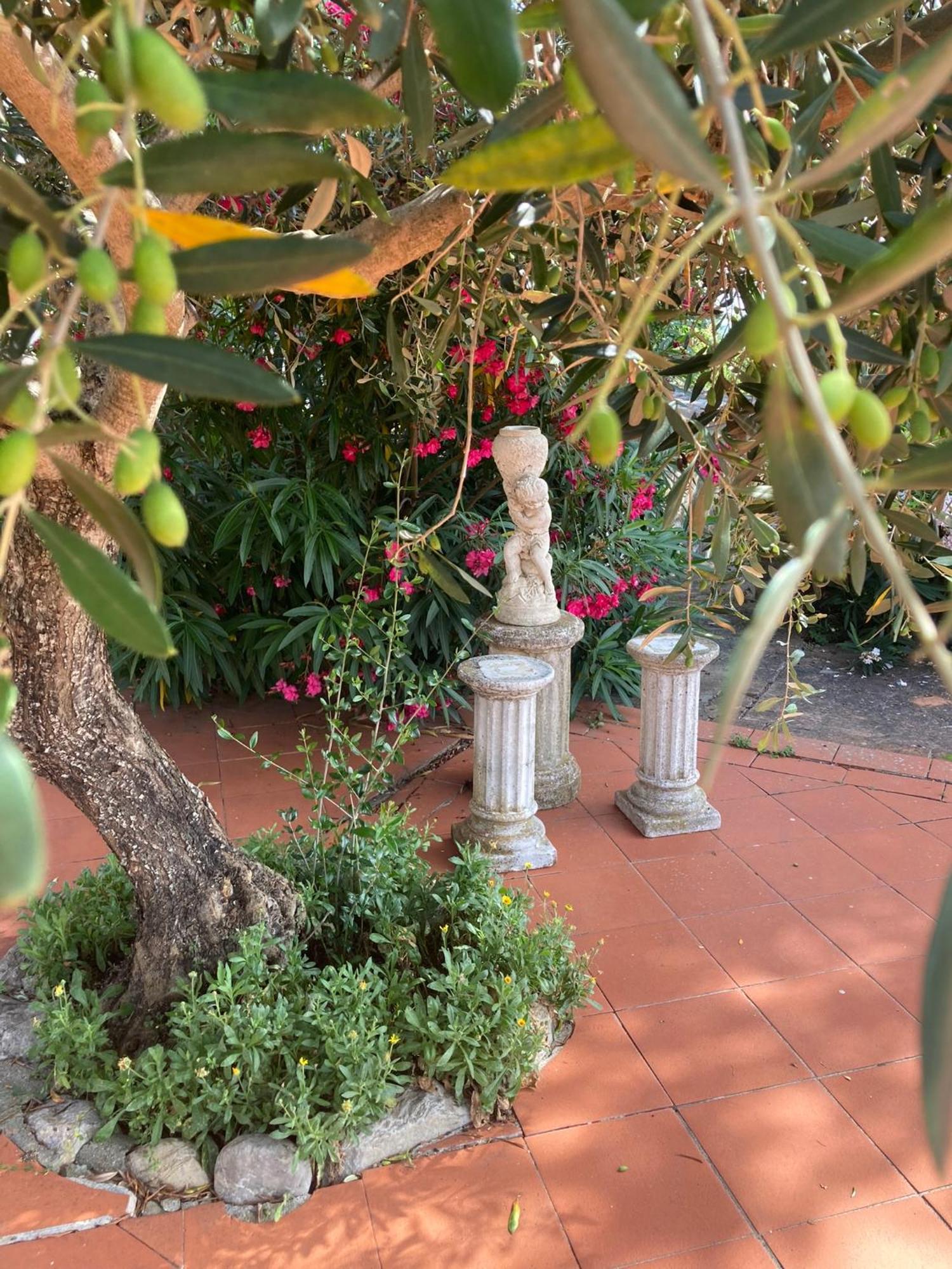 Country House La Collina Di Bargiano - Casa Raffaella アッレローナ エクステリア 写真