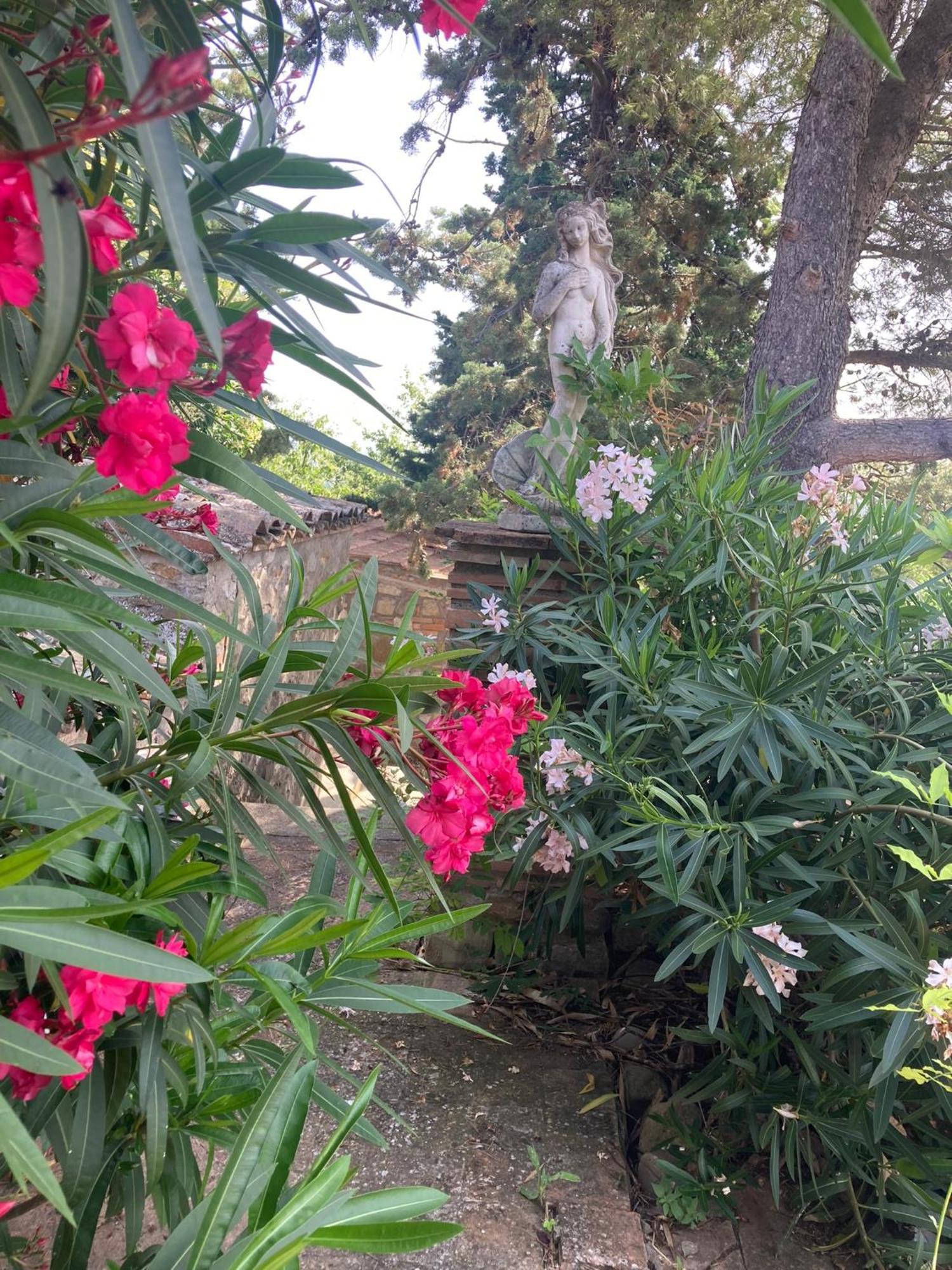 Country House La Collina Di Bargiano - Casa Raffaella アッレローナ エクステリア 写真