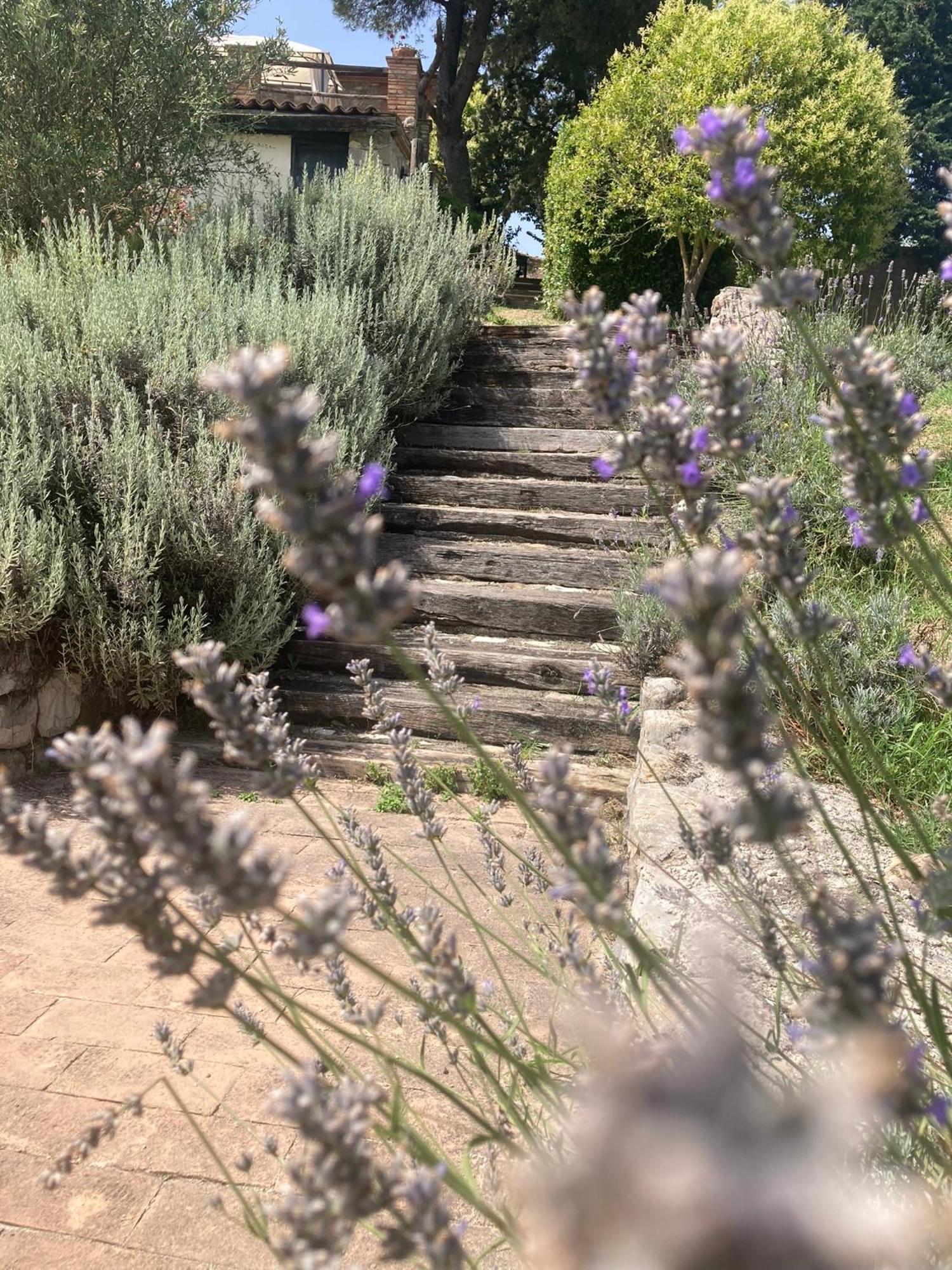 Country House La Collina Di Bargiano - Casa Raffaella アッレローナ エクステリア 写真